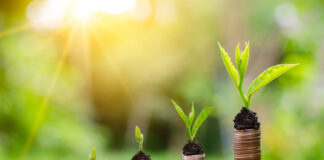 investing with margin finance