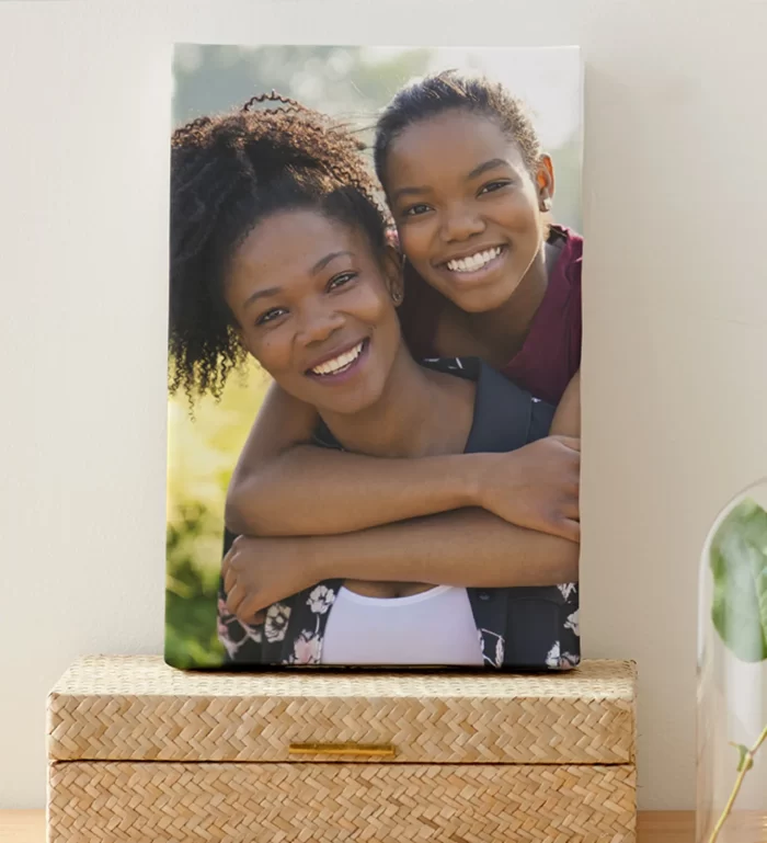VistaPrint - Canvas Art